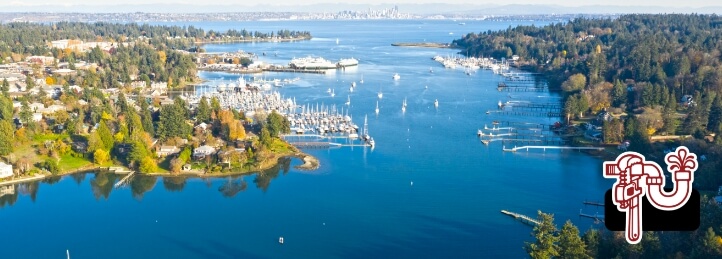 Bainbridge Island,WA, an aerial view of the city, showing the skyline and coast line